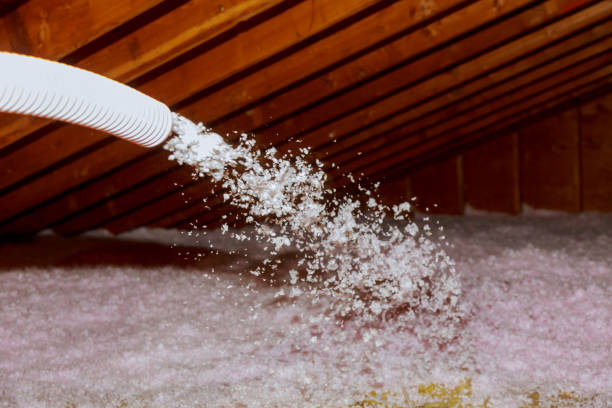 Best Attic Insulation Installation  in Inver Grove Heights, MN